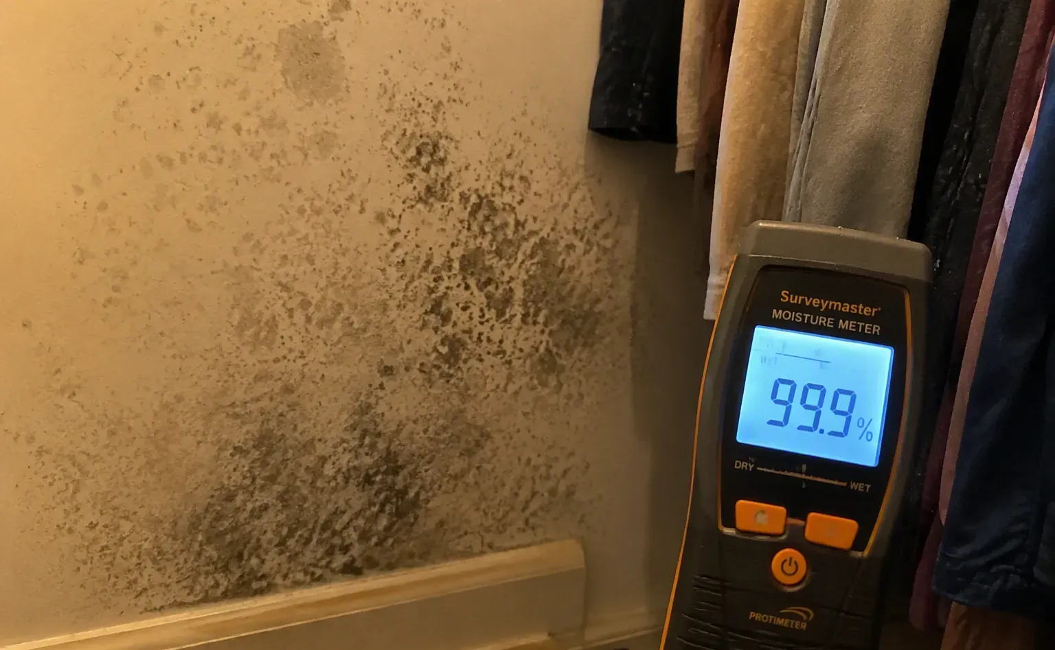 Mold remediation after water damage in a Alexandria kitchen
